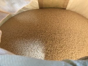 籾摺り後の玄米